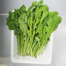 쉐프의정원 로케트 루꼴라 1kg 샐러드채소, 1개