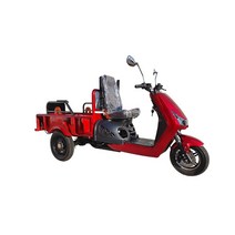 씽씽 전동삼륜차 200 삼륜 오토바이 전기차 전동차 덤프기능 농어업용기계 농기계, 경기서울인천, 직접배송