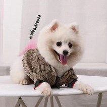 패션 XS-5XL 개 옷 작은 중형 대형 프랑스 황소 강아지 고양이 재킷 디자이너 후드 코트, [01] XS, [01] 분홍색