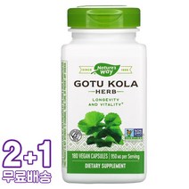 네이처스웨이 고투 콜라 허브 475ml 비건 180캡슐 3통, 1개, 기본