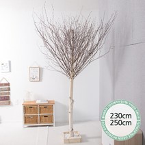 실내인테리어 인조나무 123종 / 플트 조화나무 C, C21.소원자작나무 230cmK/코너형