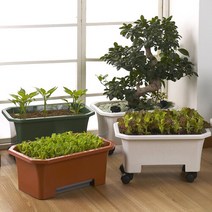 플라팜 베란다 텃밭화분 클래식 베란다화분 상추키우기, 브라운-바퀴포함