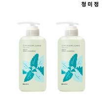청미정 박하 쿨 샴푸 본품 2개(500ml+500ml) 13가지 식물유래원료, 본품2개, 500ml