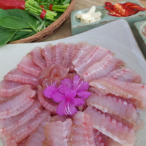 전라도 흑산도홍어 국내산홍어 목포홍어 국산홍어 흑산홍어 500g 1kg 1.5kg 생홍어 삭힌홍어 안삭힌홍어(1k이상주문시 홍어애또는묵증정)홍어코 초장서비스, 약숙성, 흑산홍어1k