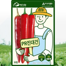 PR진대건고추 씨앗 고추 씨 종자 30립, 1개