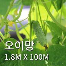식물의집 오이망 오이그물망 1.8m X 100m