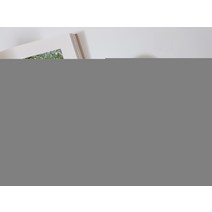 위즈라인 무광 미니볼 소스 종지 7컬러, 2호, 화이트