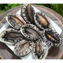 (선물용 특대전복)명품4호 대전복 선물세트 1.5kg(1kg 12미~13미)+고급선물가방, 명품10호 1kg(8~9미)+선물포장, 특대전복1kg