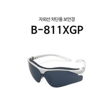 보안경 산업 안전고글 눈보호 안경 B811XGP 편광