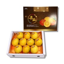 9221730주문건까지 명절전출고제주직송고당도 제주 황금향 실속 선물세트 (8~12과2kg) -인증