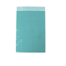 제이에프씨 HDPE 택배봉투 민트색, 300개
