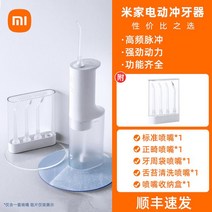 휴대용 구강 세정기 치석 제거 교정, Xiaomi치아린서+SFExpress