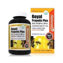 네추럴라이즈 로얄 프로폴리스 플러스 251276