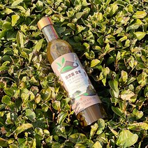 이제주몰 돌코롬 오후 제주 호지차 시럽 300ml x 1개, 단품없음, 단일옵션