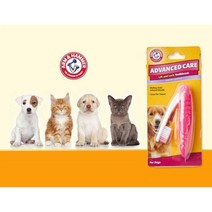 암앤해머 고양이 강아지용품 칫솔 양치 치아 이빨 입냄새 제거 치석제거 잇몸 염증 1개, 애완용(1개)