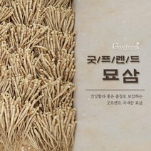 굿프렌드 새싹인삼재배용 묘삼(2년산 가을삼) 파삼, 파삼 1채 (750g), 1개