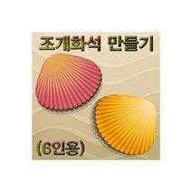 (GS)조개화석 만들기세트(6인용)