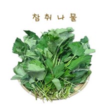 #가락시장 나물이네#당일경매 참취나물 400g/오후2시이전주문당일출고99%/주말 공휴일제외, 400g