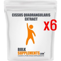 벌크서플리먼트 시서스가루 시서스 씨서스 250g 500회분 6개
