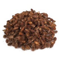 신선 국산 도꼬마리 300g, 1, 본상품선택, 본상품선택
