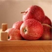 후레쉬앤푸드 거창 함양사과 꿀부사 가정용 3kg 9~13과