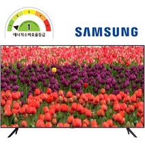 삼성전자 55인치 사이니지TV 비지니스 TV 모니터 유튜브 UHD 4K LED 1등급 BE55A-H 1등급 [무료설치][무료폐가전수거], 107cm/43인치, 아니요, 스탠드형