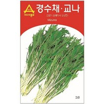 보람농자재 (경수채씨앗종자) 경수채-교나(2000립 600g), 600g(일본산)