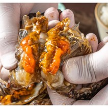 뚝심밥상 국산 암꽃게 간장게장 활꽃게, 4kg, 1개