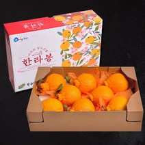 [푸르젠] 명절특가 당도좋은 제주 한라봉 선물세트, 1개, 3kg(12~14과)
