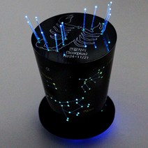 황도12궁 광섬유 별자리 무드등 (6인)