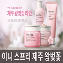 이니스프리 제주 왕벚꽃 스킨(토너) 200ml, 1개