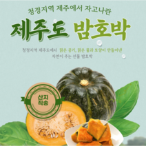 미니밤호박 제주 밤단호박 3kg (4-7개) 청정지역