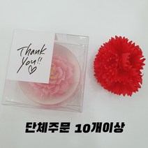 (10개) 단체수업 1인용 카네이션 수제 비누만들기키트 DIY 스승의날선물 집콕놀이 엄마표미술놀이 어버이날선물 비누만들기체험, 10개
