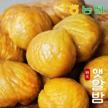 [농협] 햇밤 순창 알밤 특대 1kg (제수용), 상세페이지 참조