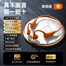 moqiqi 방수 수영 무선 이어폰 가성비블루투스 골전도 이어폰 편안한 스포츠 헤드셋, 공식 표준, B