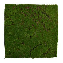 고급수태 화분갈이 푸란재배 난재배 꺾곶이 30x30cm 미니 요정 정원 시뮬레이션 식물 이끼 잔디 인조 잔디 녹색 잔디 마이크로 조경 장식, 3