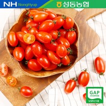 [성동농협] GAP인증 대추방울토마토 3kg (750gX4) (로얄과 3호), 단품
