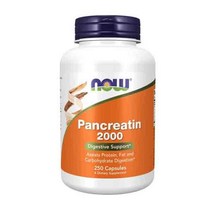 나우푸드 판크레아틴 10X 200mg 캡슐, 250정, 3개
