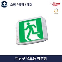 비상구 유도등 소방 피난구 표지 벽부형 소형 중형 대형 금호전기 화재 대피, 1.기본형