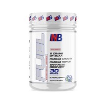 뉴트리션비즈 BCAA 파우더 아미노산 5g 근육 형성 회복 음료 30회 분량 블루베리 레모네이드 헬스 보충제 부스터
