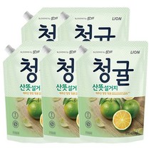 참그린 청귤 산뜻 설거지 주방세제 리필, 1kg, 5개