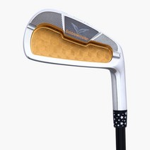 2번아이언 GM단조 고반발 낱개 아이언헤드 아화골프, 경량스틸 NS 950-R, R