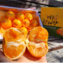 제주 천혜향 3KG 5KG 10KG 가정용 선물용, 3. 선물용 3KG(중과)