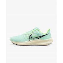 [국내매장판]나이키 에어 줌 페가수스 39 남성 로드 러닝화 운동화 DH4071-301