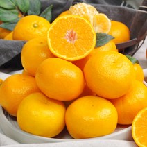 [제주직송] 새콤달콤 하우스 감귤 1kg 2kg / 소과 로열과 프리미엄과, 감귤 1kg (꼬마소과)