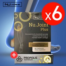 뉴와이즈 뉴 조인트 플러스 (초록입홍합 ) 90캡슐 6개