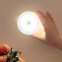 보오누 LED 충전식 미니 터치 무드등, 화이트 화이트