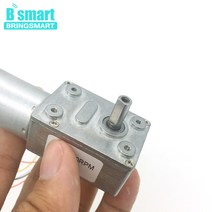 웜기어 감속기 모터 Bringmart JGY-2430 브러시리스 12 볼트 24V DC 웜 기어 모터 자동 잠금 가역 브레이크, 04 12V 23rpm