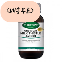 톰슨 실리마린 42000mg 60개입, 1개, 60개