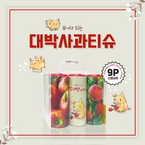 선물세트 9P 대박사과 / 슬림티슈 설 새해 선물 집들이 개업 선물세트 재물복 풍수인테리어 인테리어티슈 선물하기